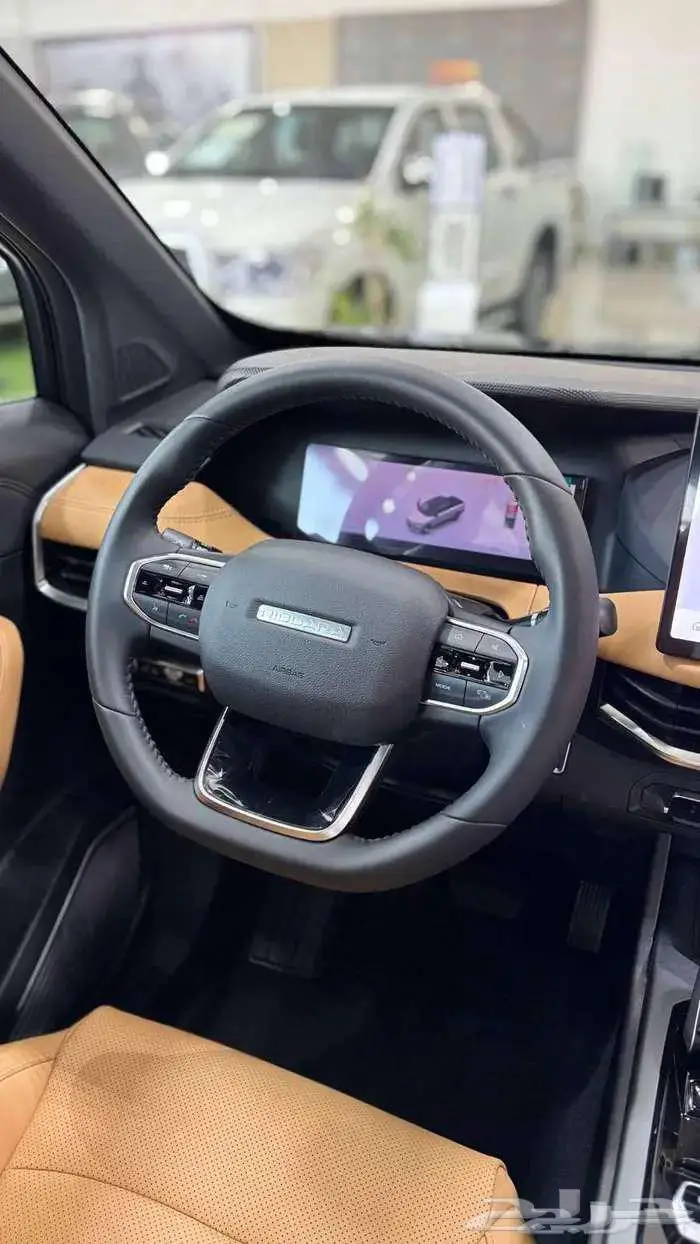 ريدارا RD6 بيك اب كهربائية 2025 13