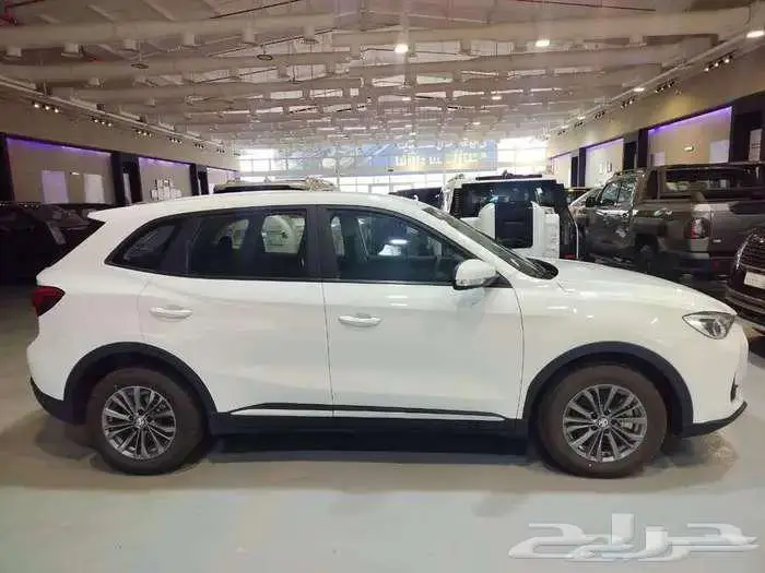 ام جي ZS تصفية نهاية العام 8