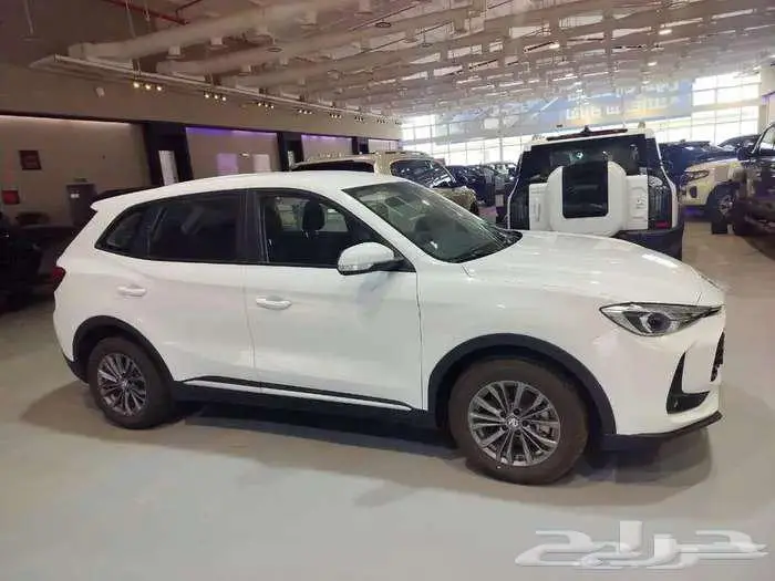 ام جي ZS تصفية نهاية العام 0