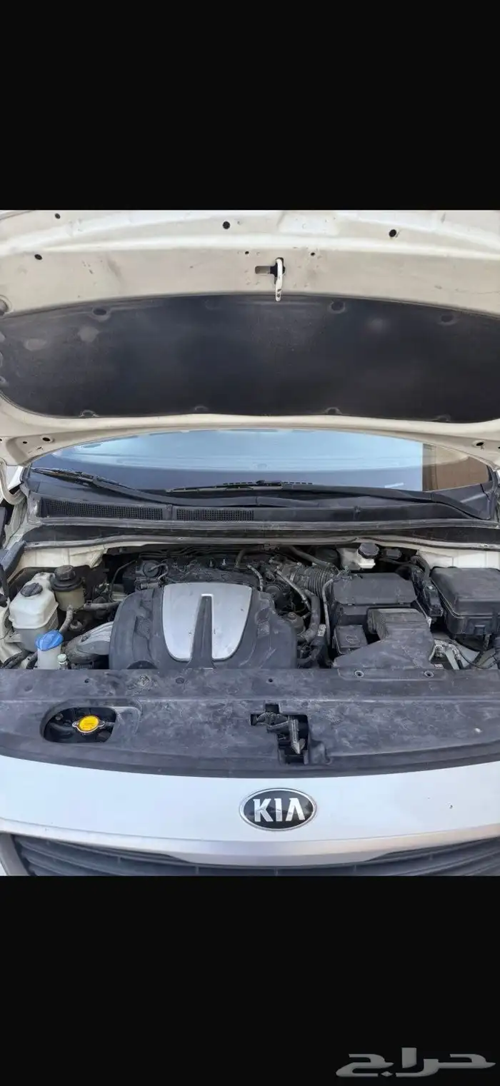 كيا كرنفال 2016 5