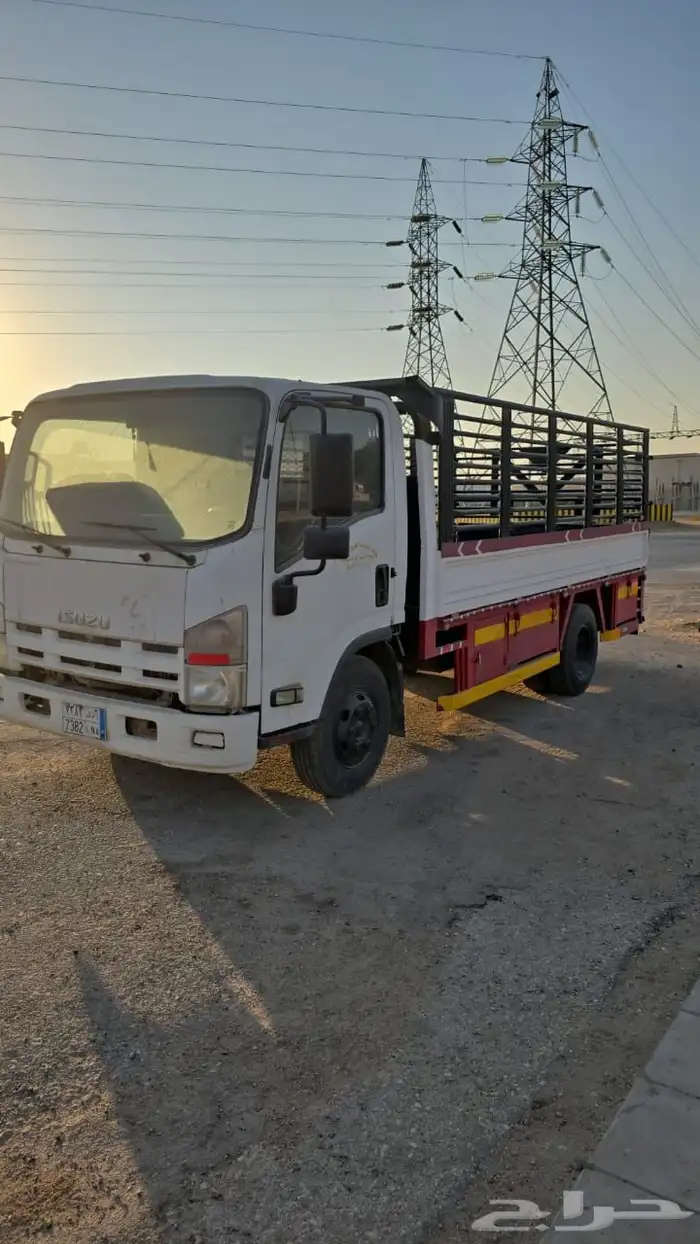 دينا ايسوزو شبك 3