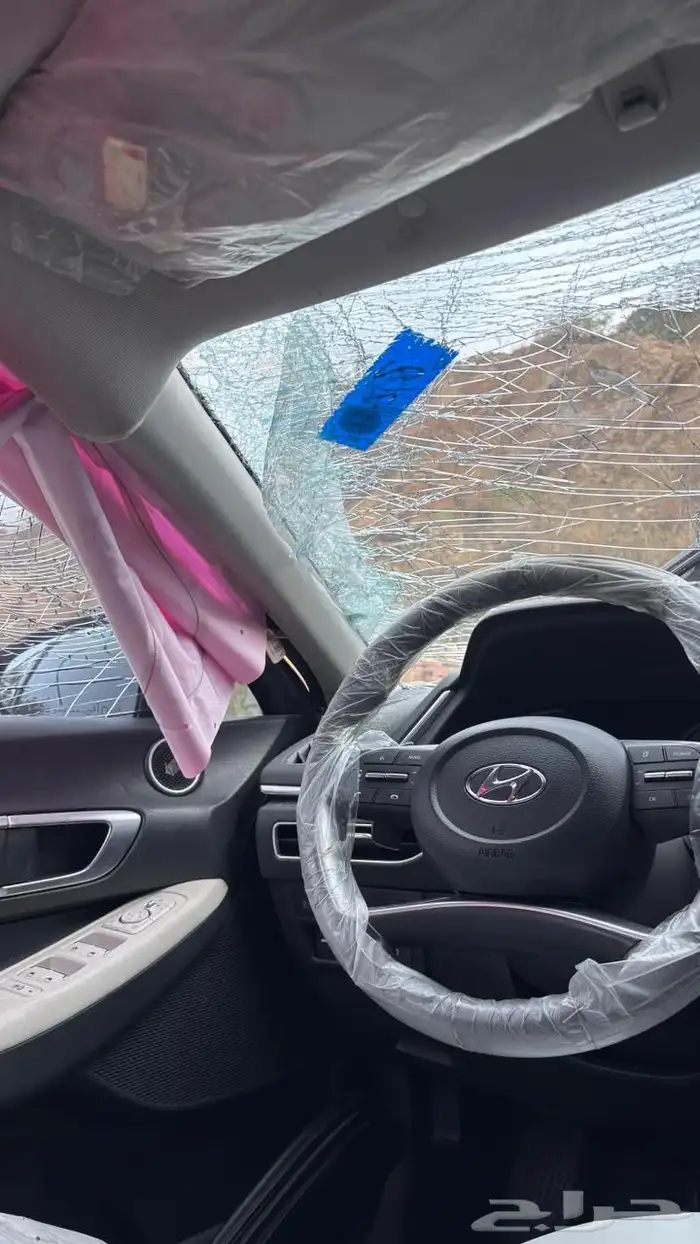 سوناتا 2021 هايبرد للتقبيل 13