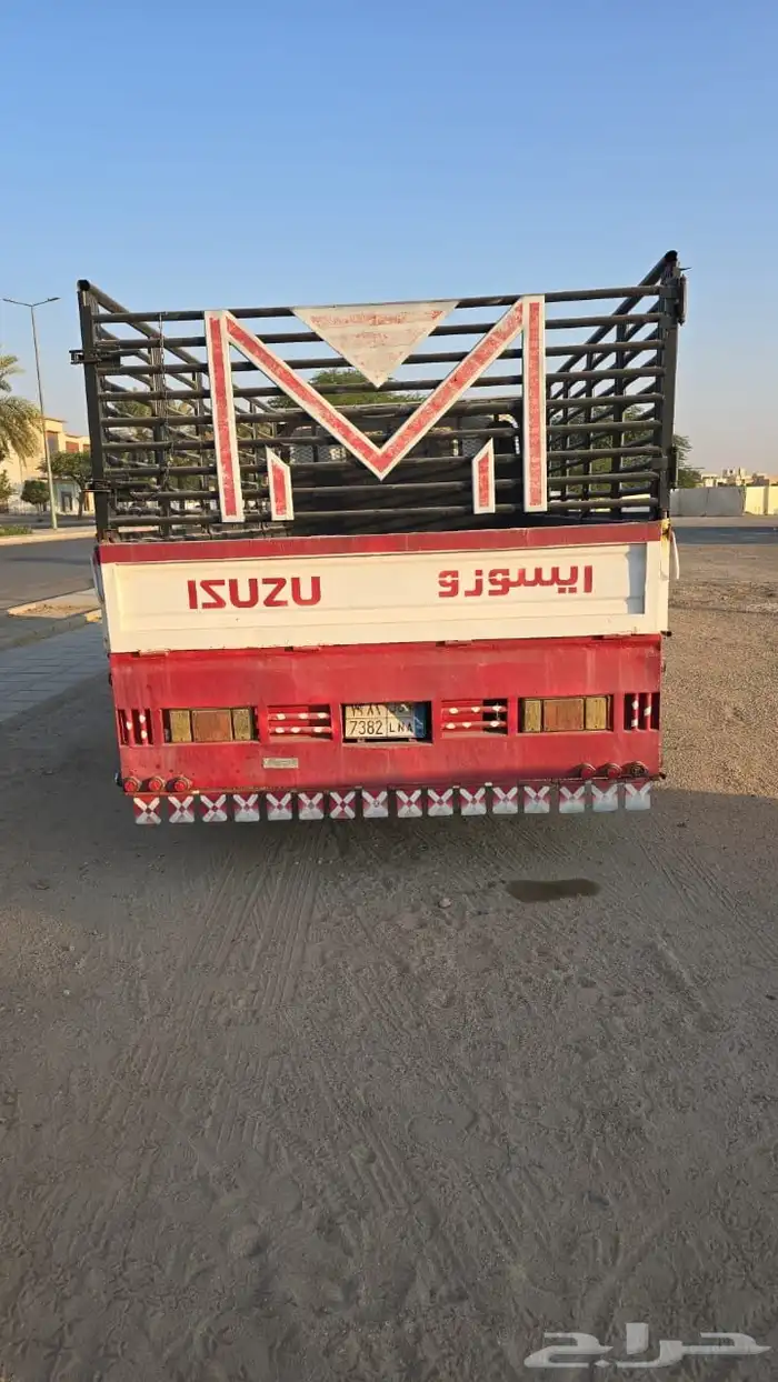 دينا ايسوزو شبك 0