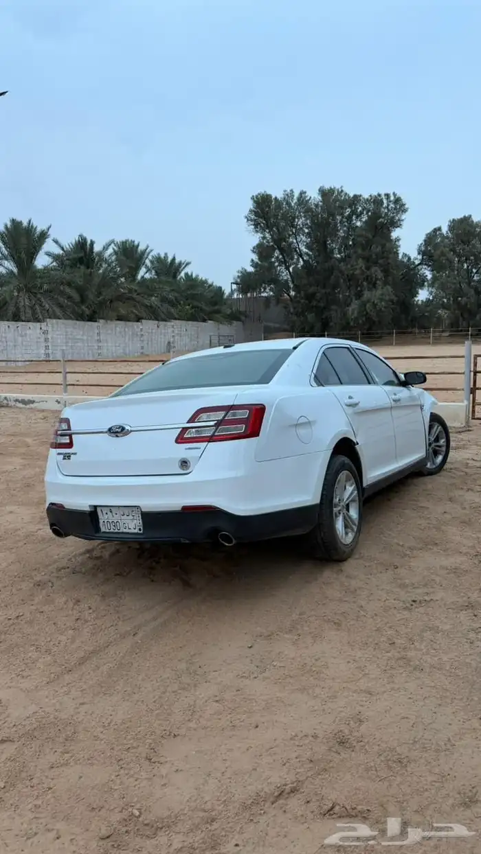 تورس مصدومه 2015 3