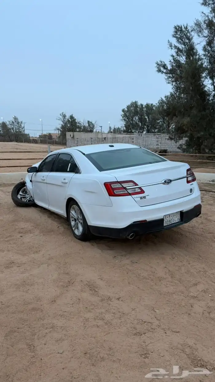 تورس مصدومه 2015 4