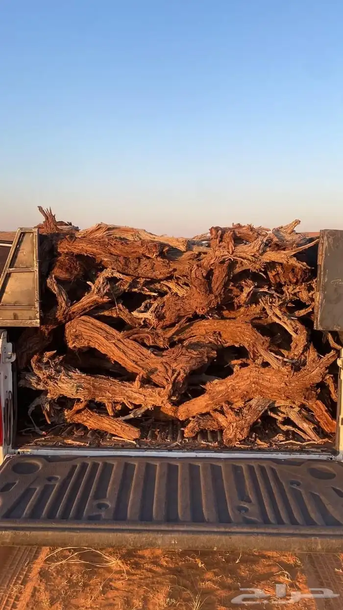 صندوق البيع 0