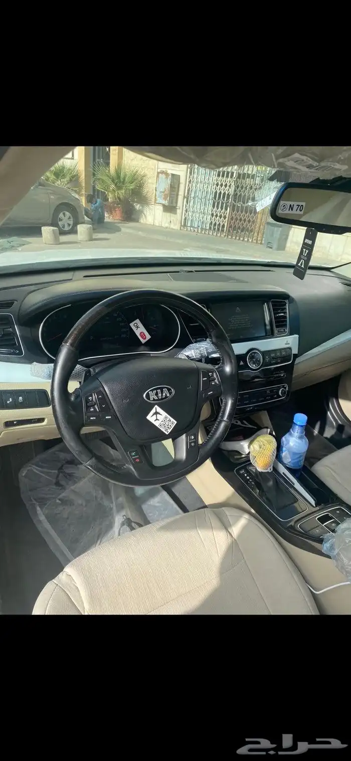 كادينزا2014 4