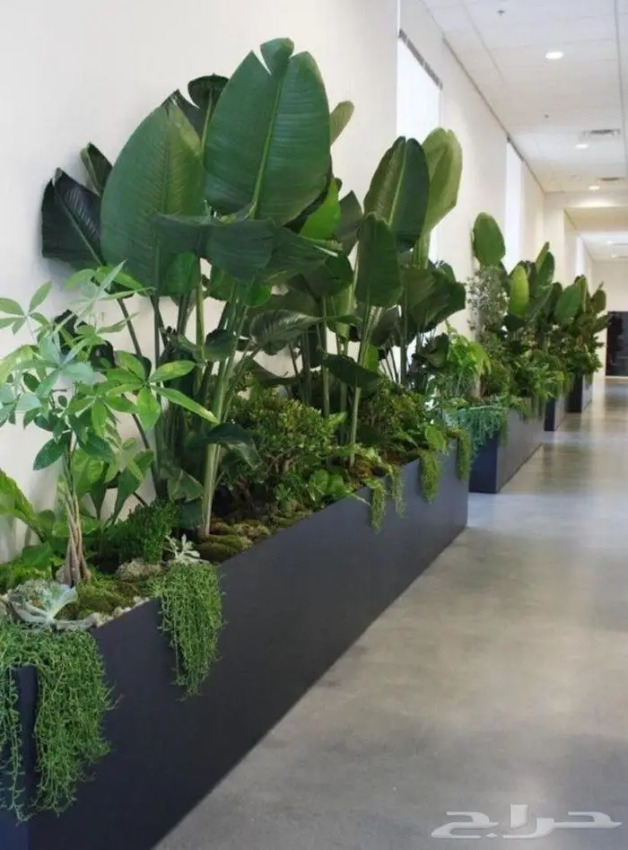 مصنع أحواض مشتل زراعية شلال مدخل فله كوفيه مجمعات تجارية 11