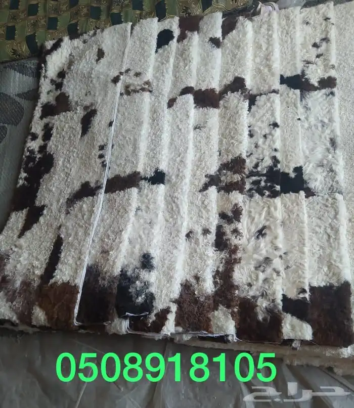 فروة طفيلي غنم ارنب ثعلب نمر طبيعي 22