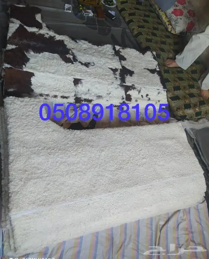 فروة طفيلي غنم ارنب ثعلب نمر طبيعي 16