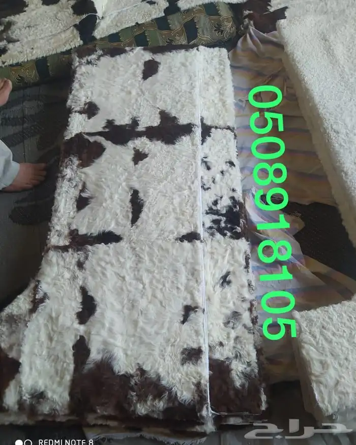 فروة طفيلي غنم ارنب ثعلب نمر طبيعي 15