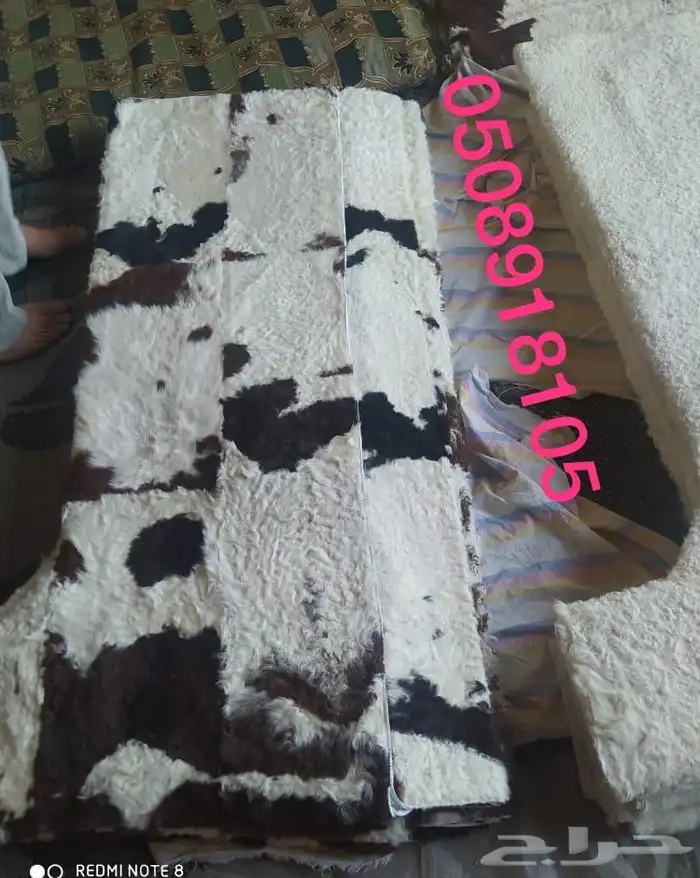 فروة طفيلي غنم ارنب ثعلب نمر طبيعي 17