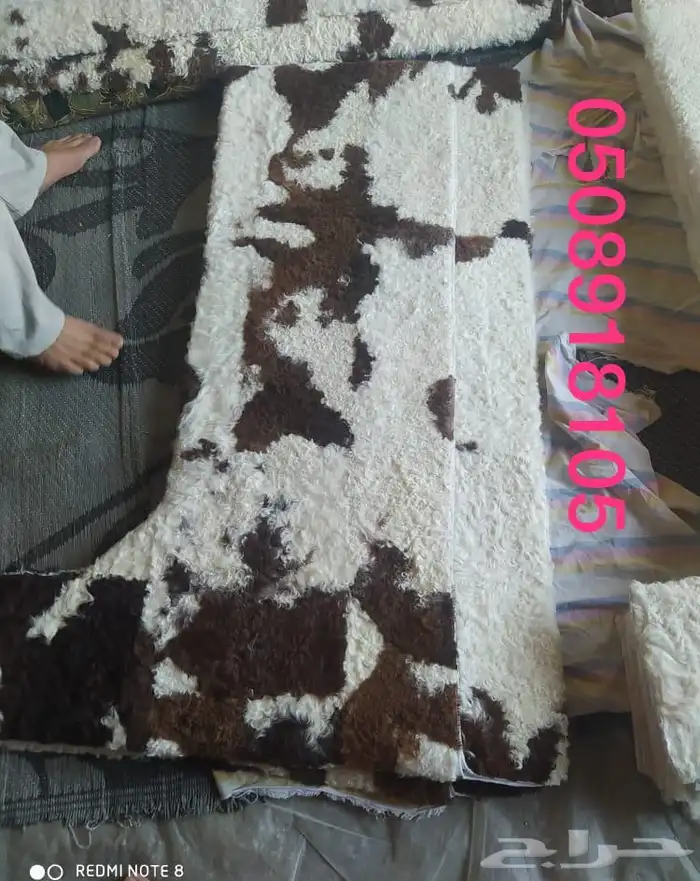 فروة طفيلي غنم ارنب ثعلب نمر طبيعي 13