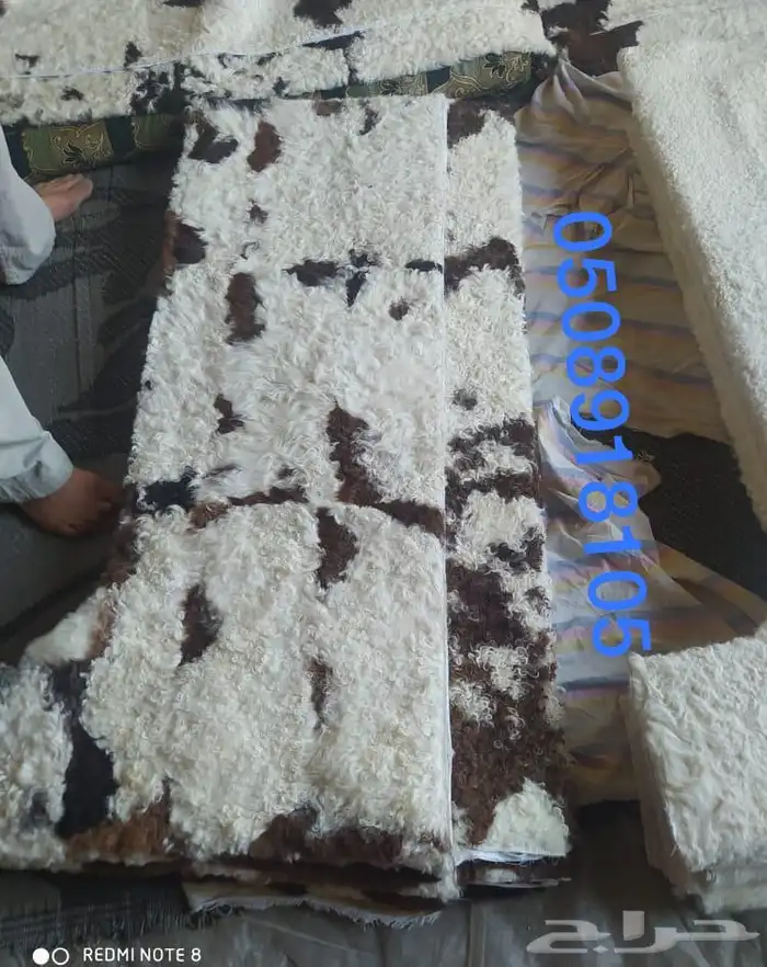 فروة طفيلي غنم ارنب ثعلب نمر طبيعي 19