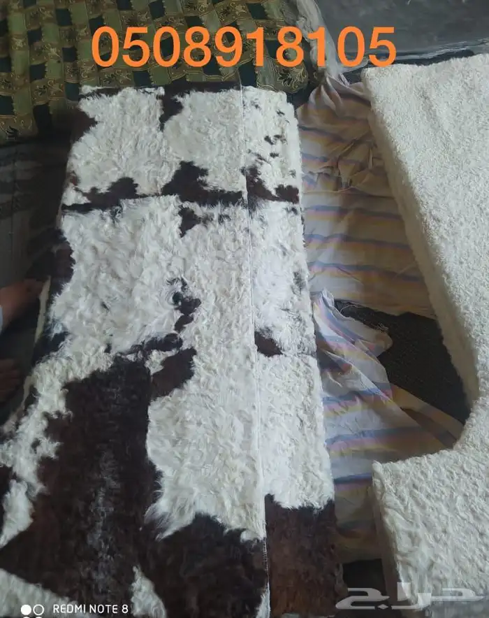 فروة طفيلي غنم ارنب ثعلب نمر طبيعي 12