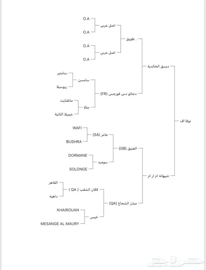 للبيع فرس عربية خطّ سرعة 6