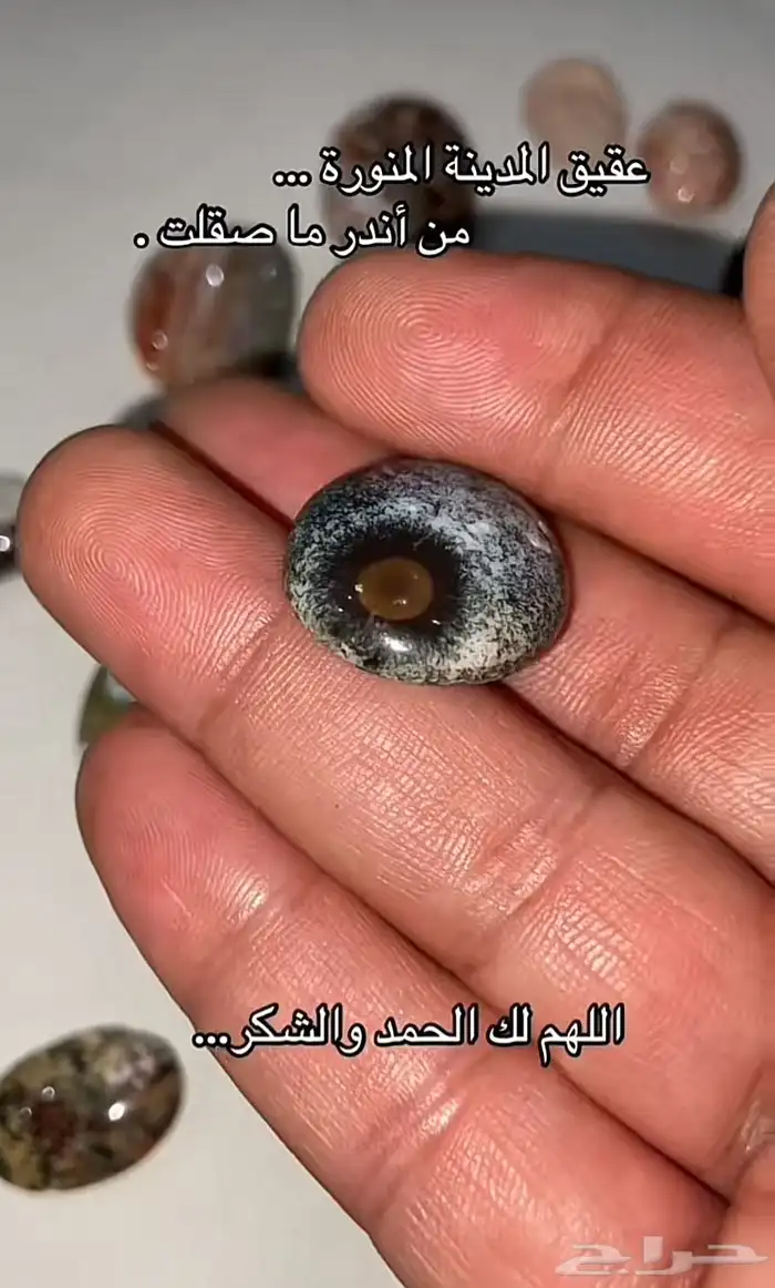 عقيق المدينة المنورة 1