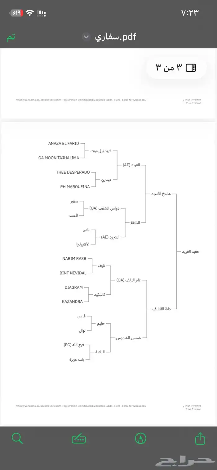 حصان جزيري حمداني سمري 1