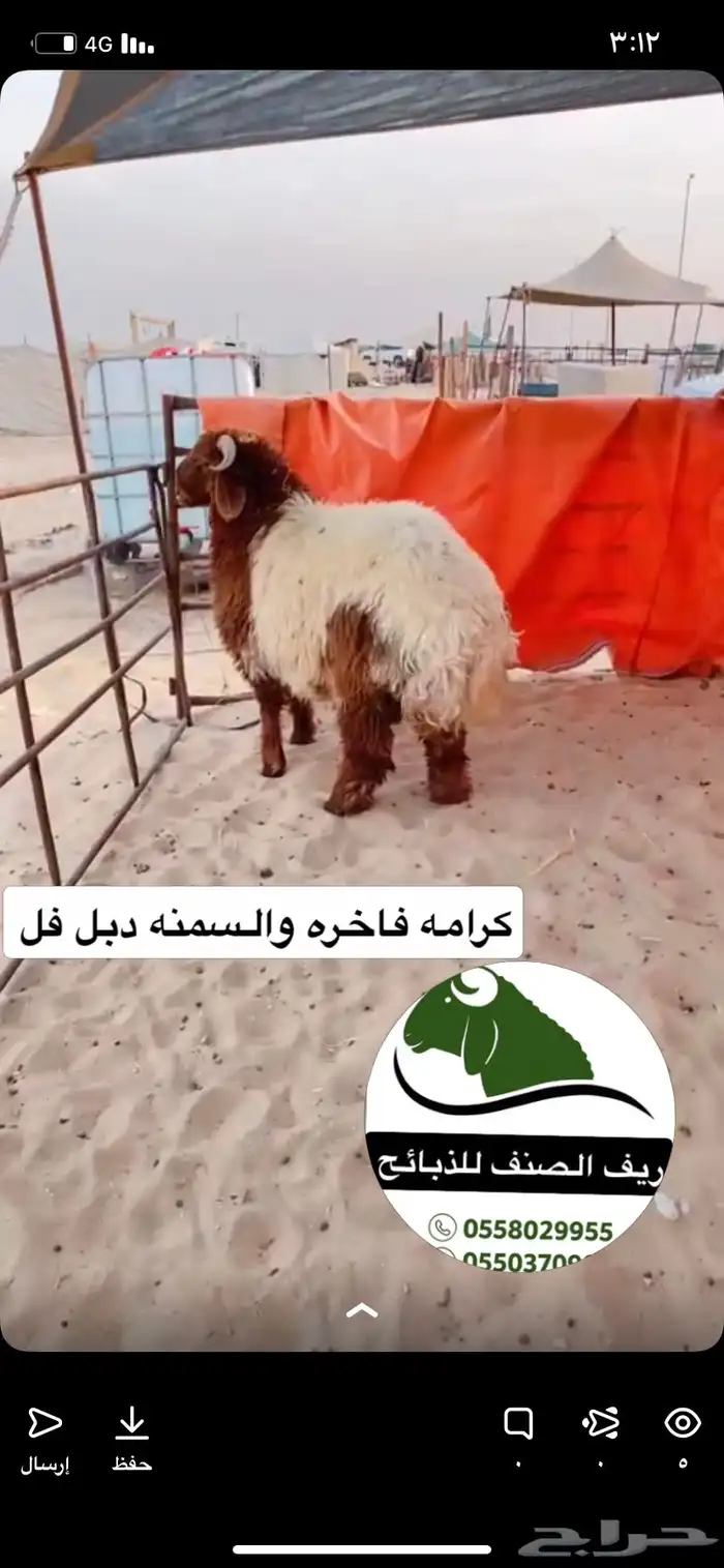 ذبائح 2