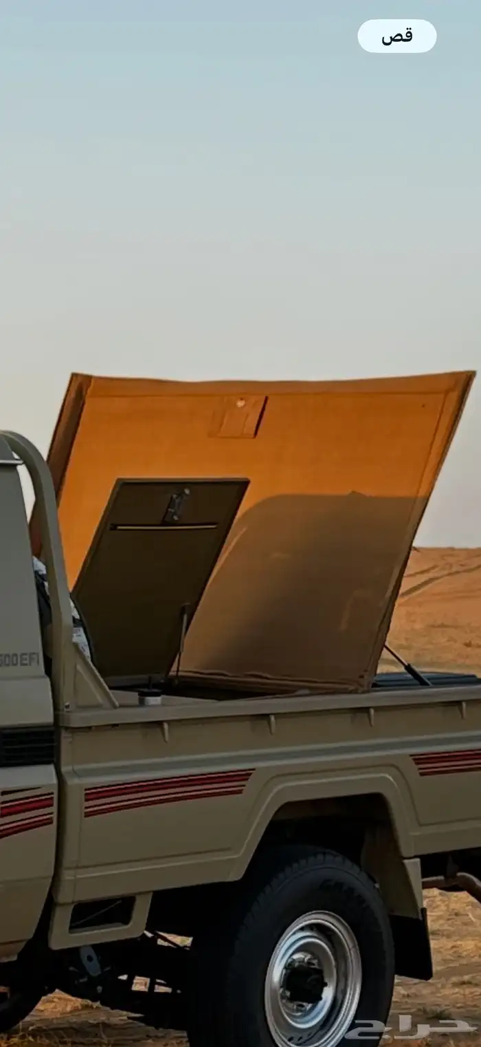 طبق شاص ( فراشة ) 0