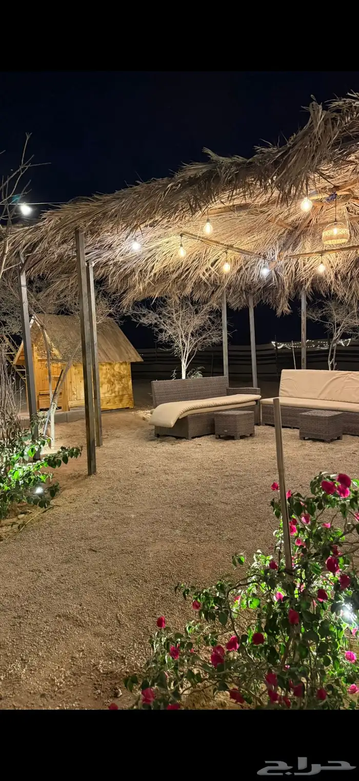 مخيم واحة السدر للإيجار اليومي رقم 1 39