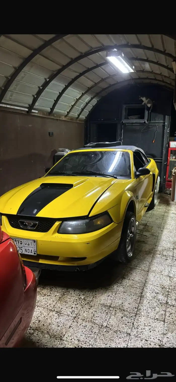 موستنق 1999 v8 2