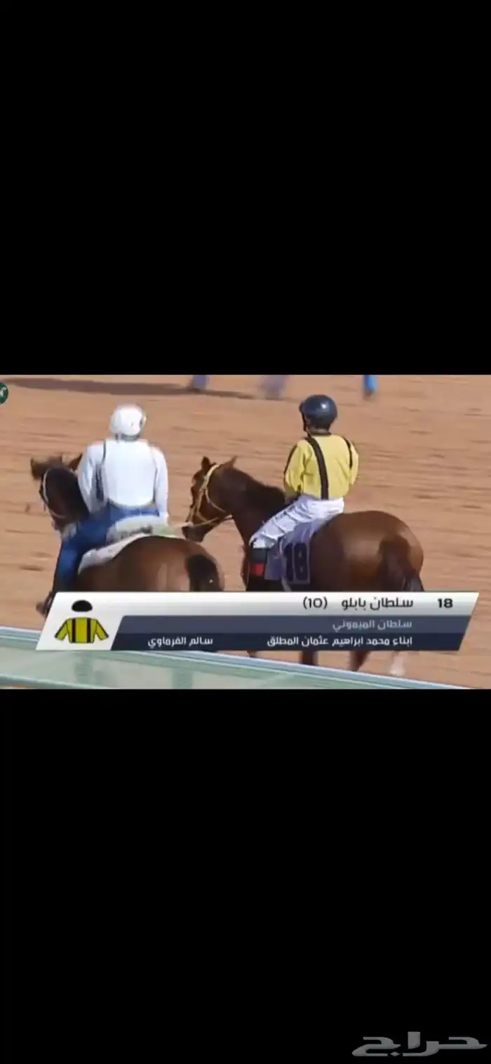 للبيع حصان انتاج 12