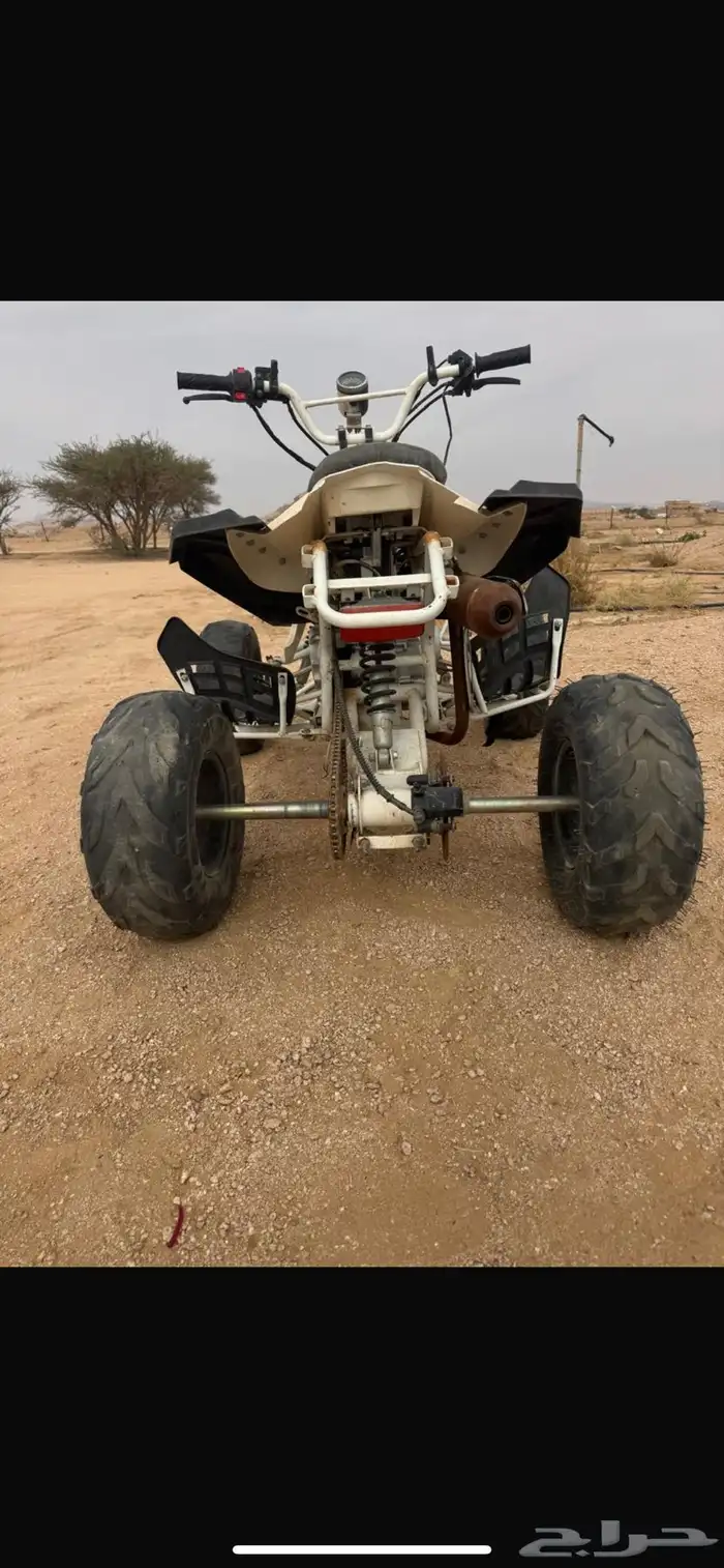 دباب فراشه شغال على الشرط 1