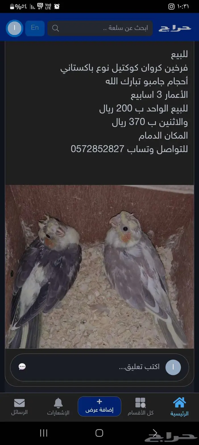 فرخين كروان كوكتيل 0