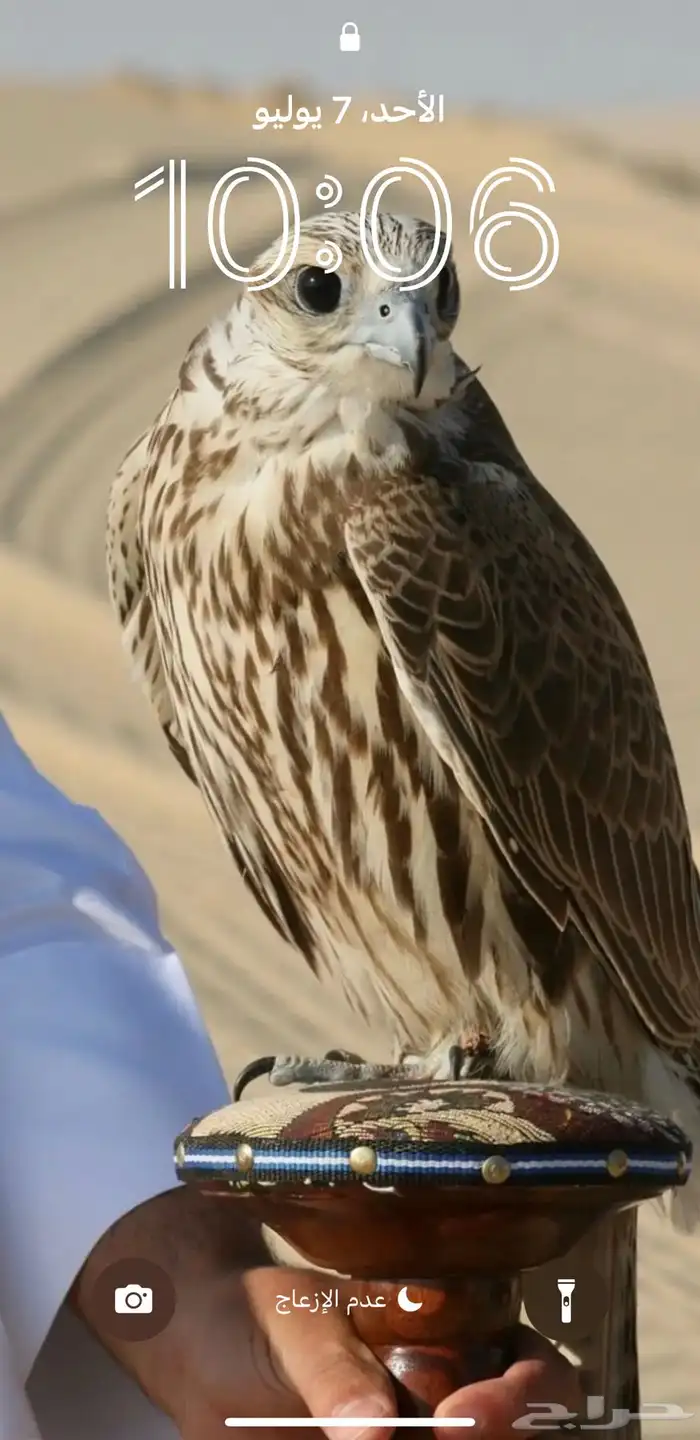 هوندا اوديسي 2009 Ex 6