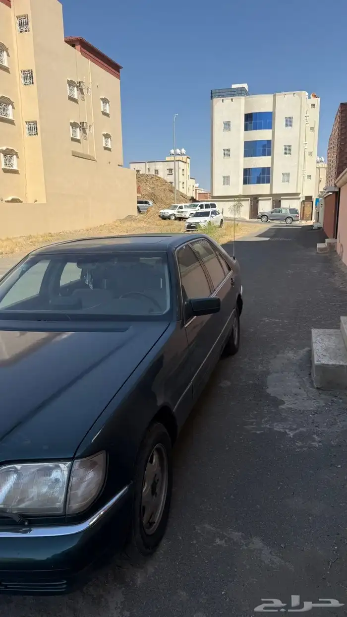 عسير رجال المع 20