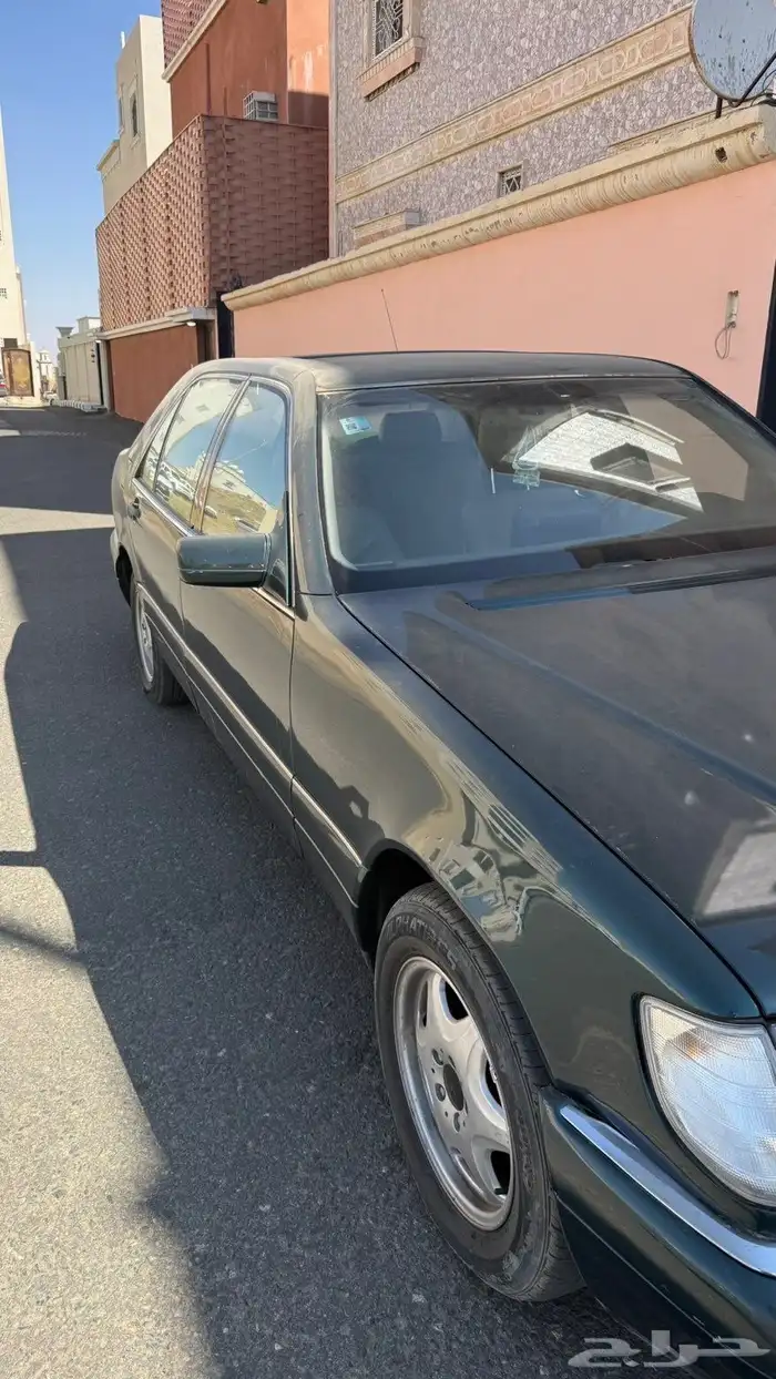 عسير رجال المع 21