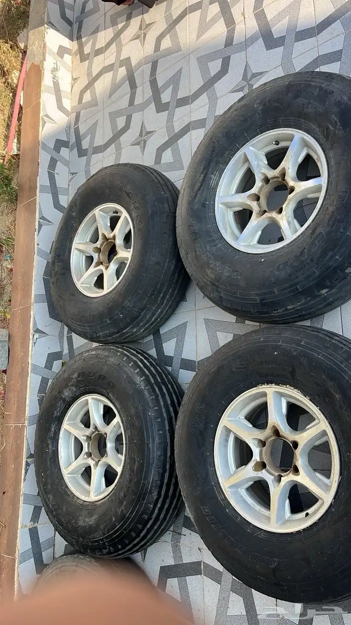 جنوط استراليه 0