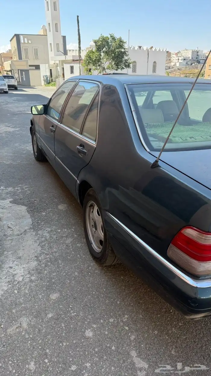 عسير رجال المع 18