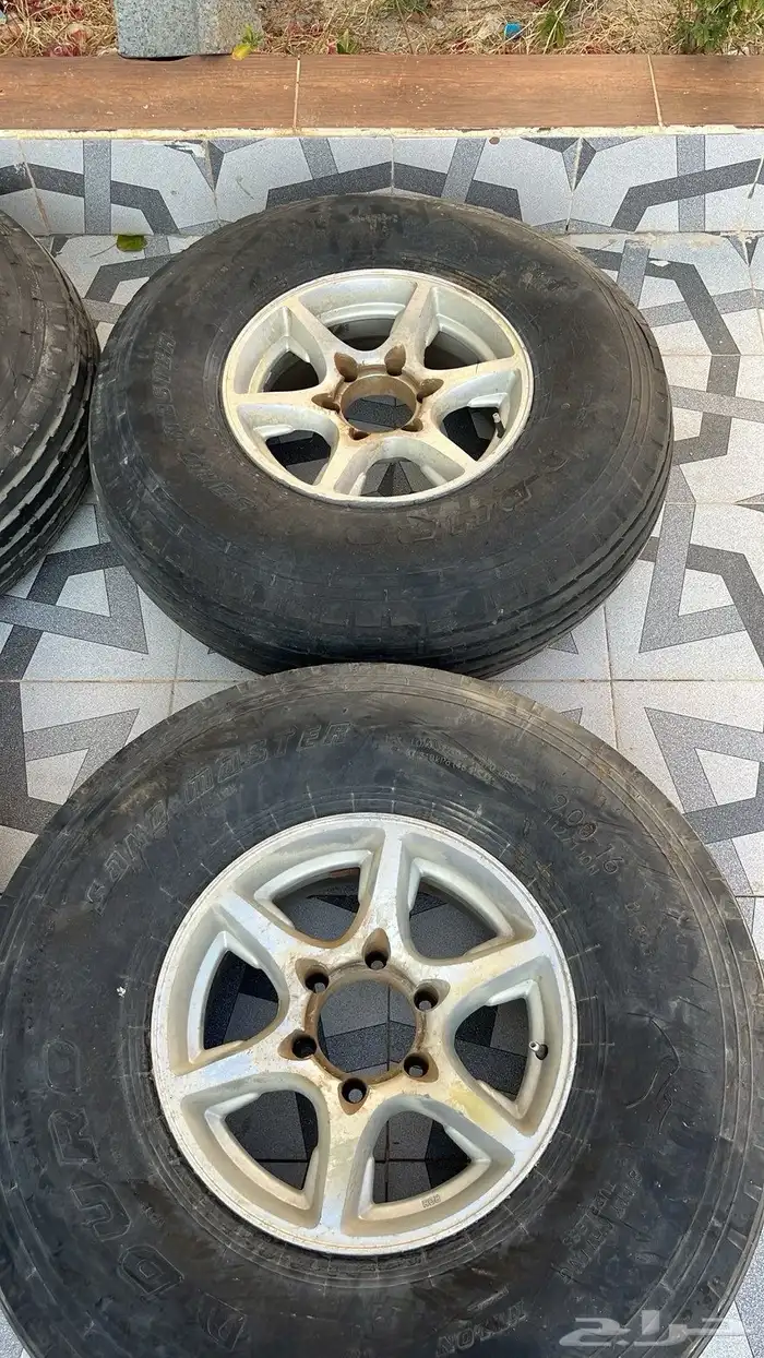 جنوط استراليه 1