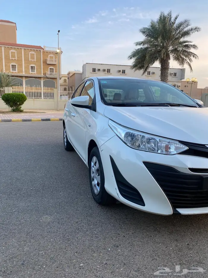 يارس وكاله بدون رش 2019 10