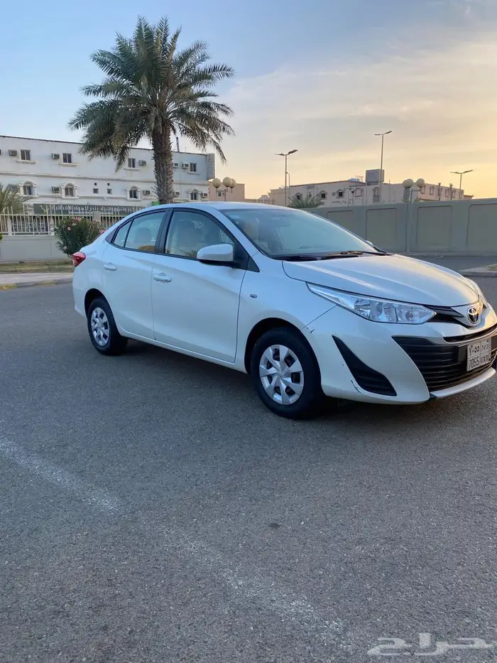 يارس وكاله بدون رش 2019 11