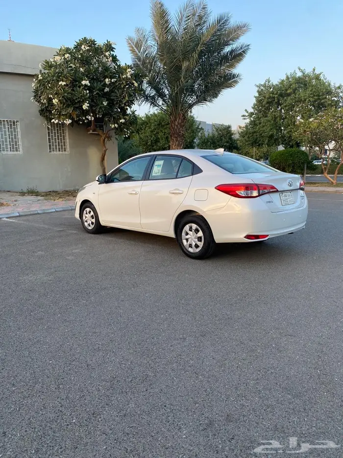 يارس وكاله بدون رش 2019 22