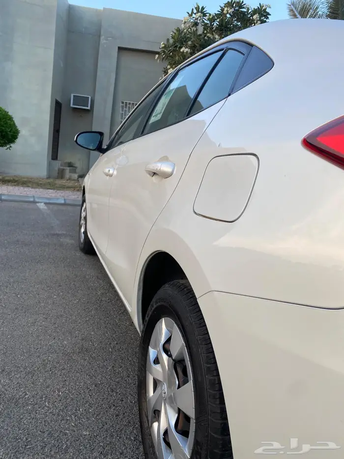 يارس وكاله بدون رش 2019 26