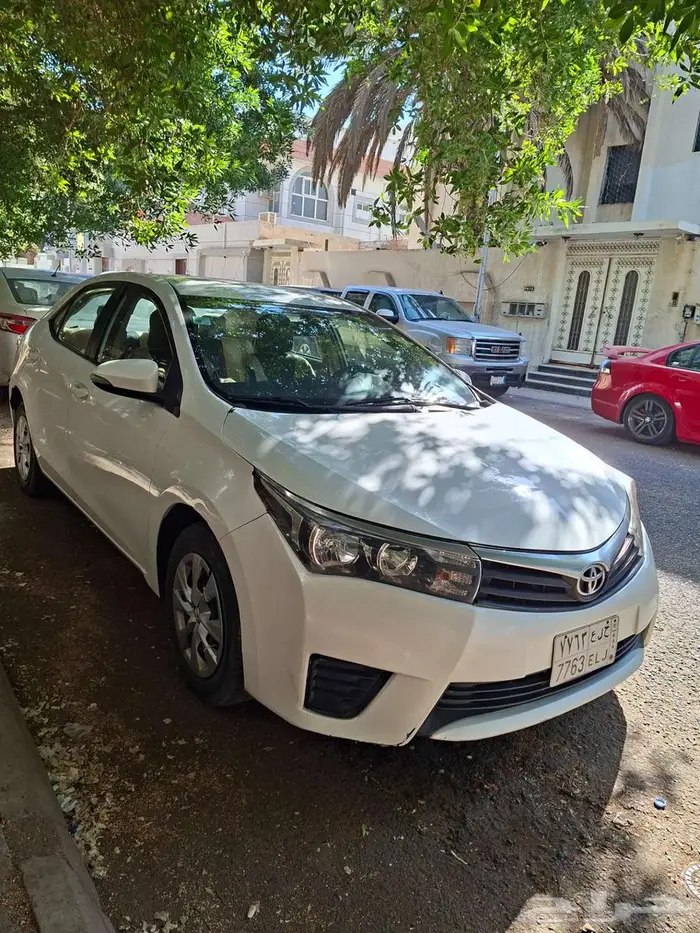 كورلا بدي وكاله الموقع تبوك تواصل اتصال مع مالك 5