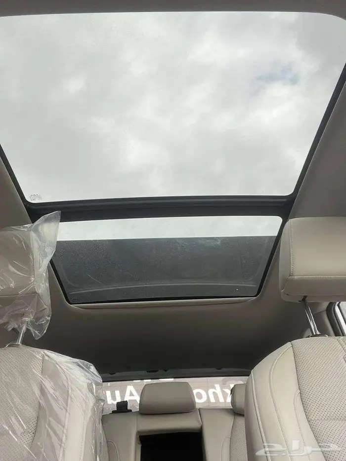 سيلتوس نص فل 2026 8