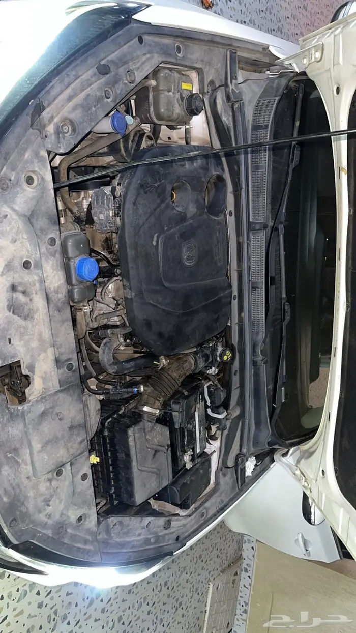 شانجان إيدو بلس 2023 للبيع 2