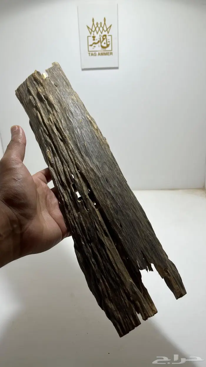 كسر عود هندي غابات مستوى عالي. 5