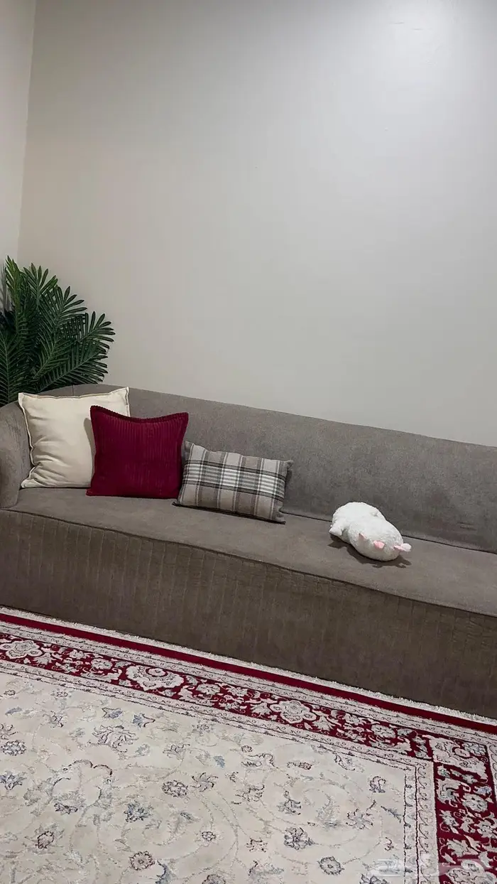 كنب للبيع بدون المخدات وستاره 0