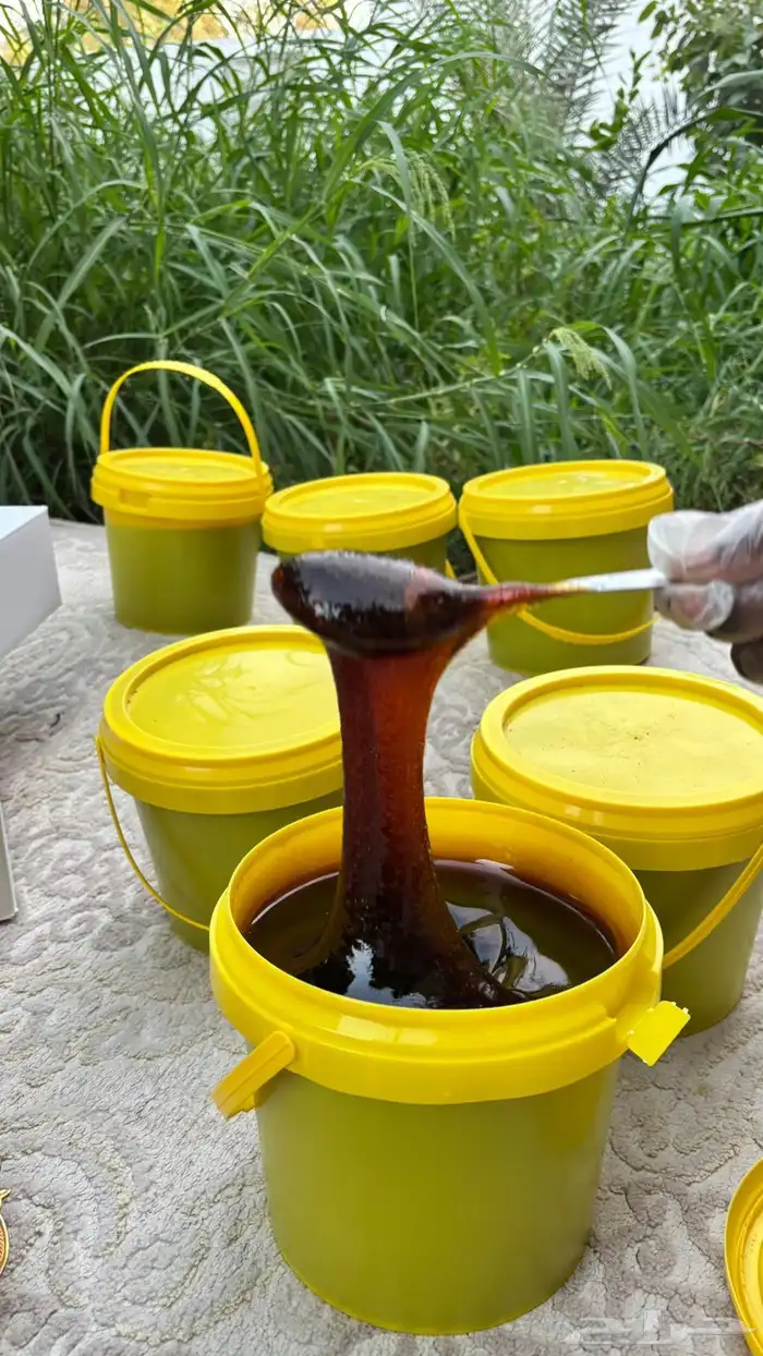 مزارع الملكه للتمور و منتجات الالبان 2