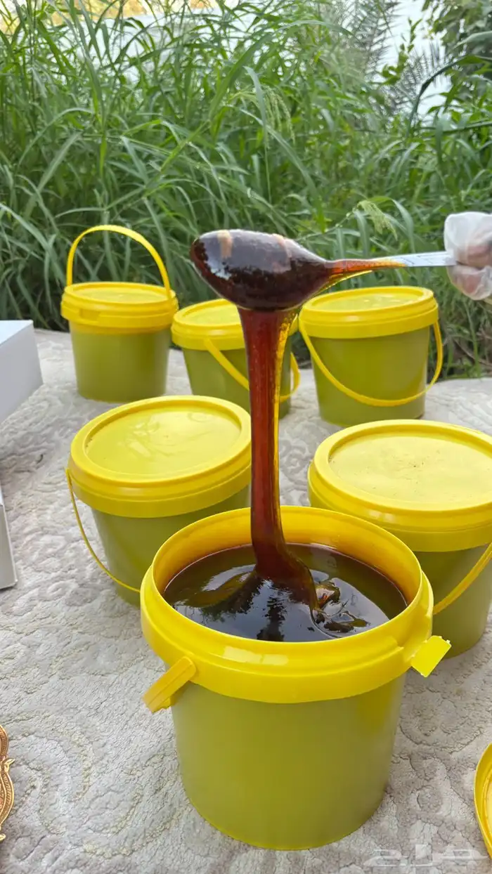 مزارع الملكه للتمور و منتجات الالبان 1