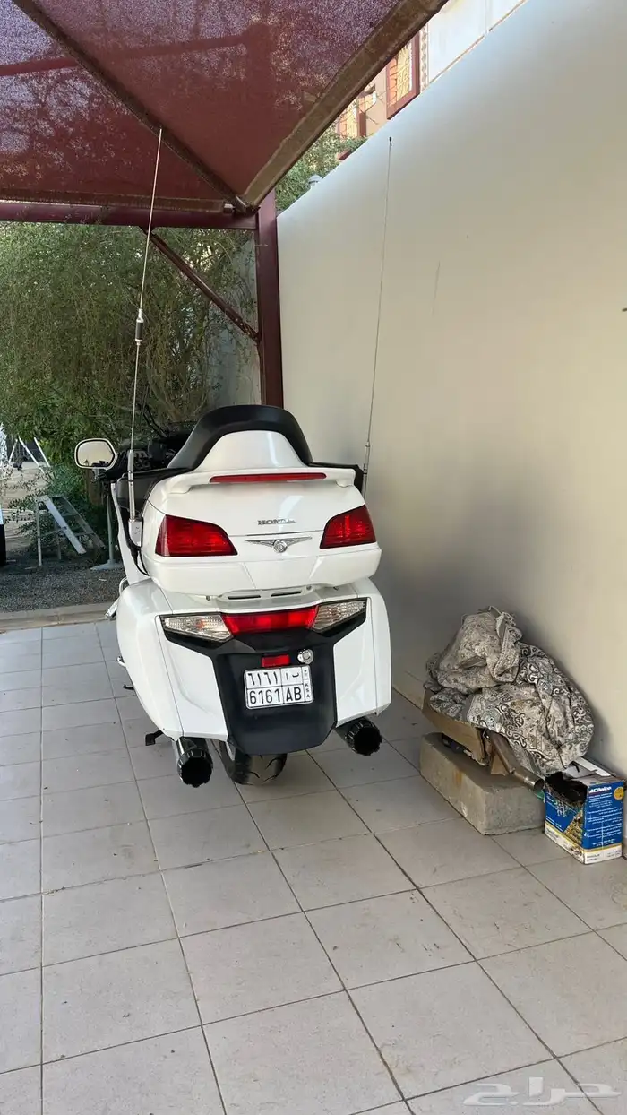 قولد وينق 2017 1