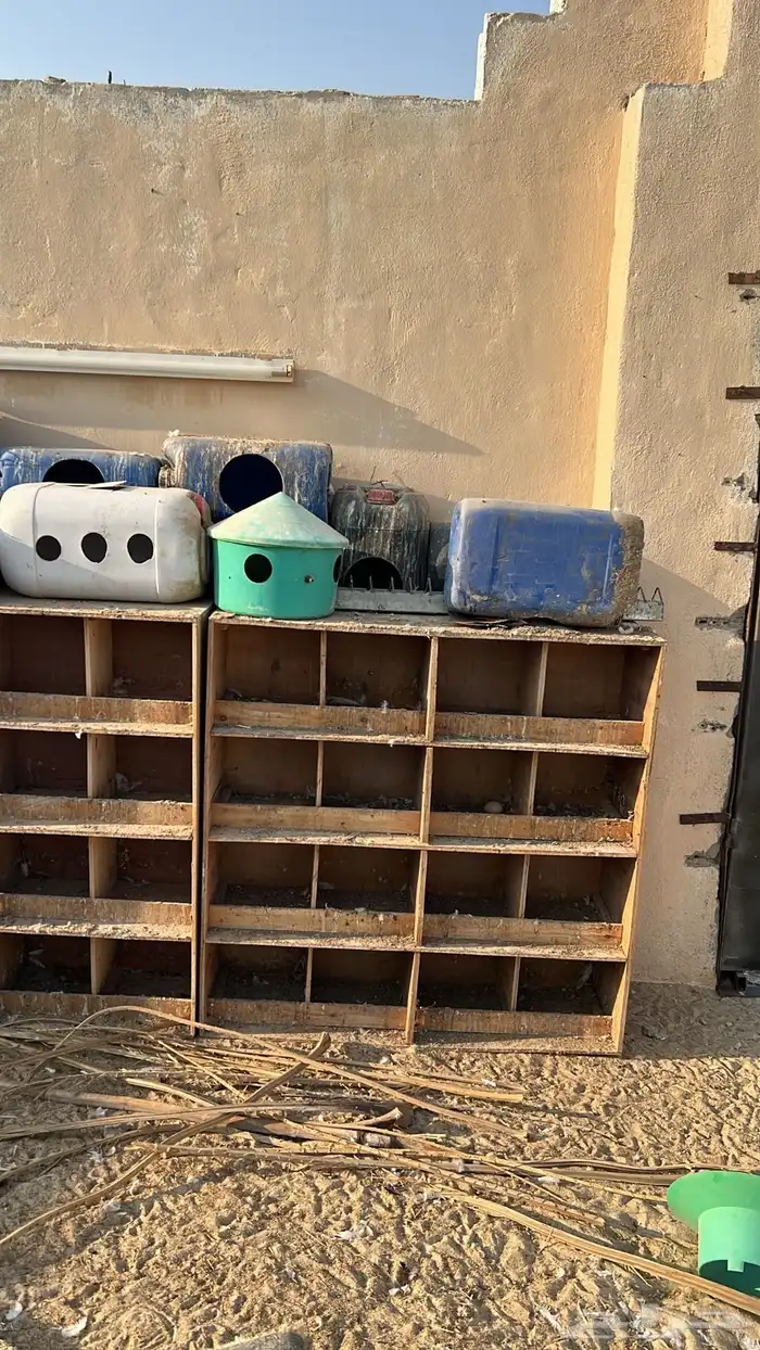 محاكر و سطول عشة حمام 2