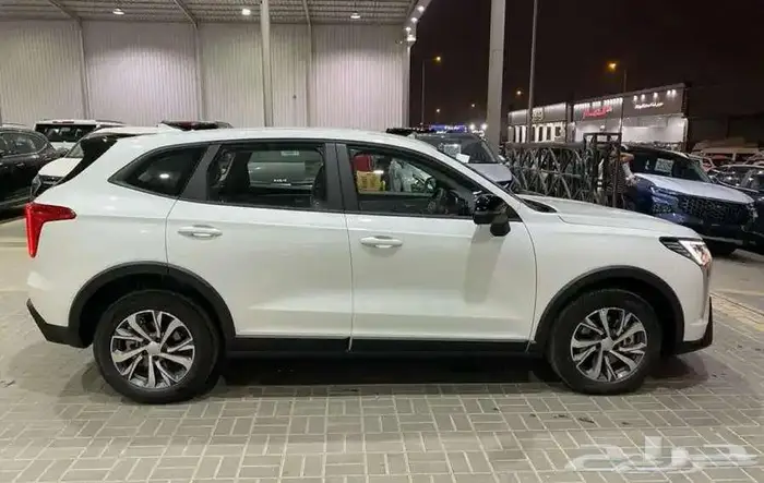 هافال جوليان بيسك 2025 اقل سعر كاش وتقسيط 2