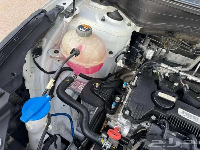 2023 KIA Sportage (AWD) 100  Accident Free 2nd owner 23